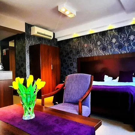 Hotel Zamek Centrum 4*
