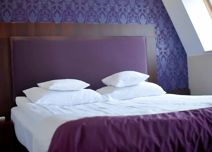 Hotell Zamek Centrum