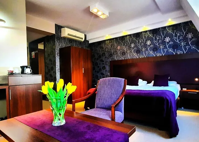 Hotel Zamek Centrum 4*